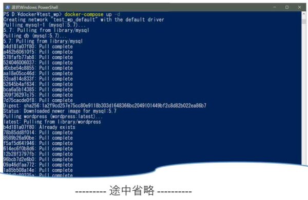 docker-compose up中