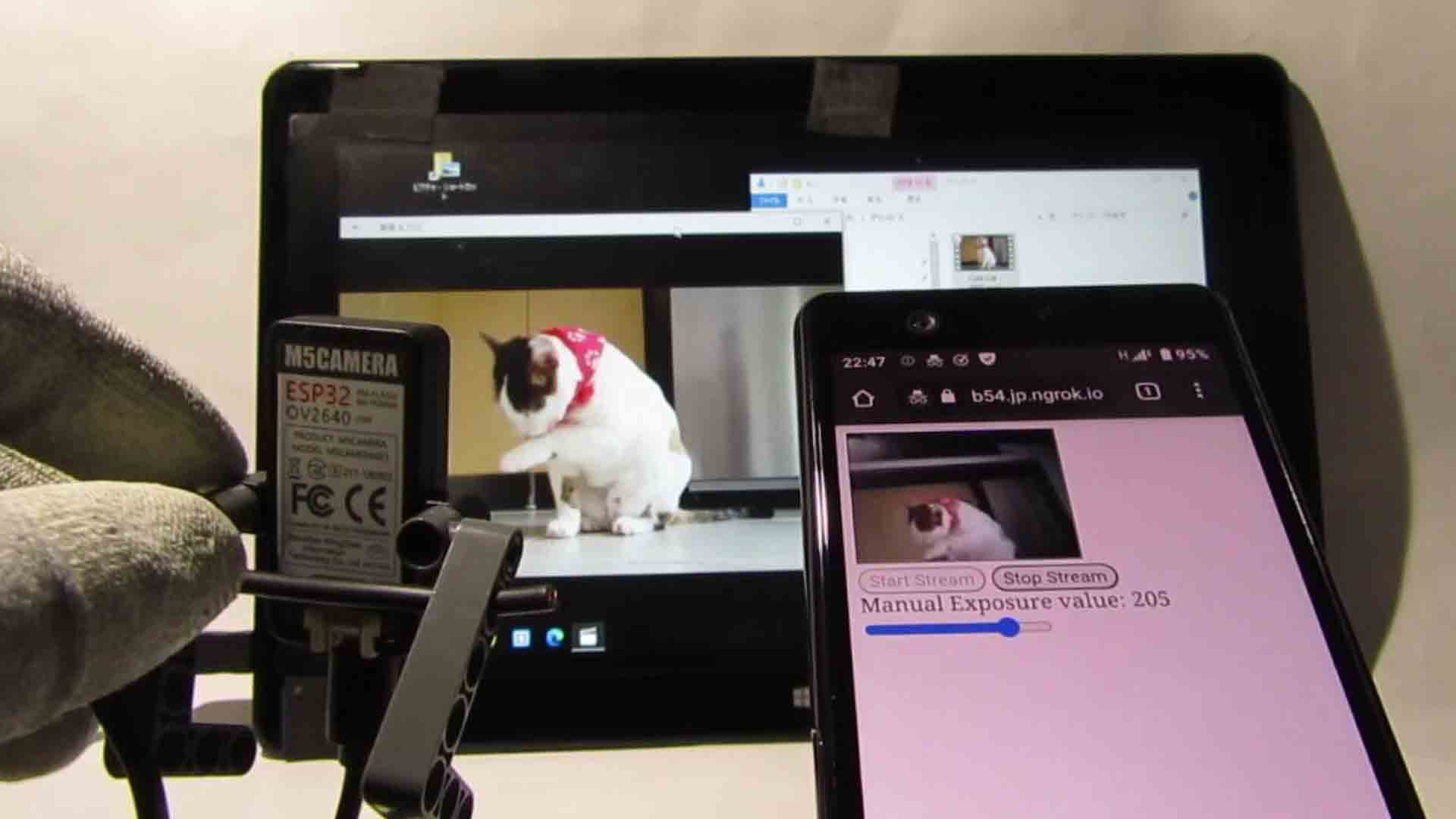 ngrokとM5Cameraで動画ストリーミング