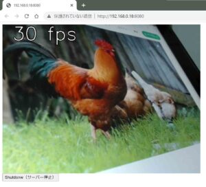 Pythonコードを実行して、Google Chromeブラウザでアクセスした画面