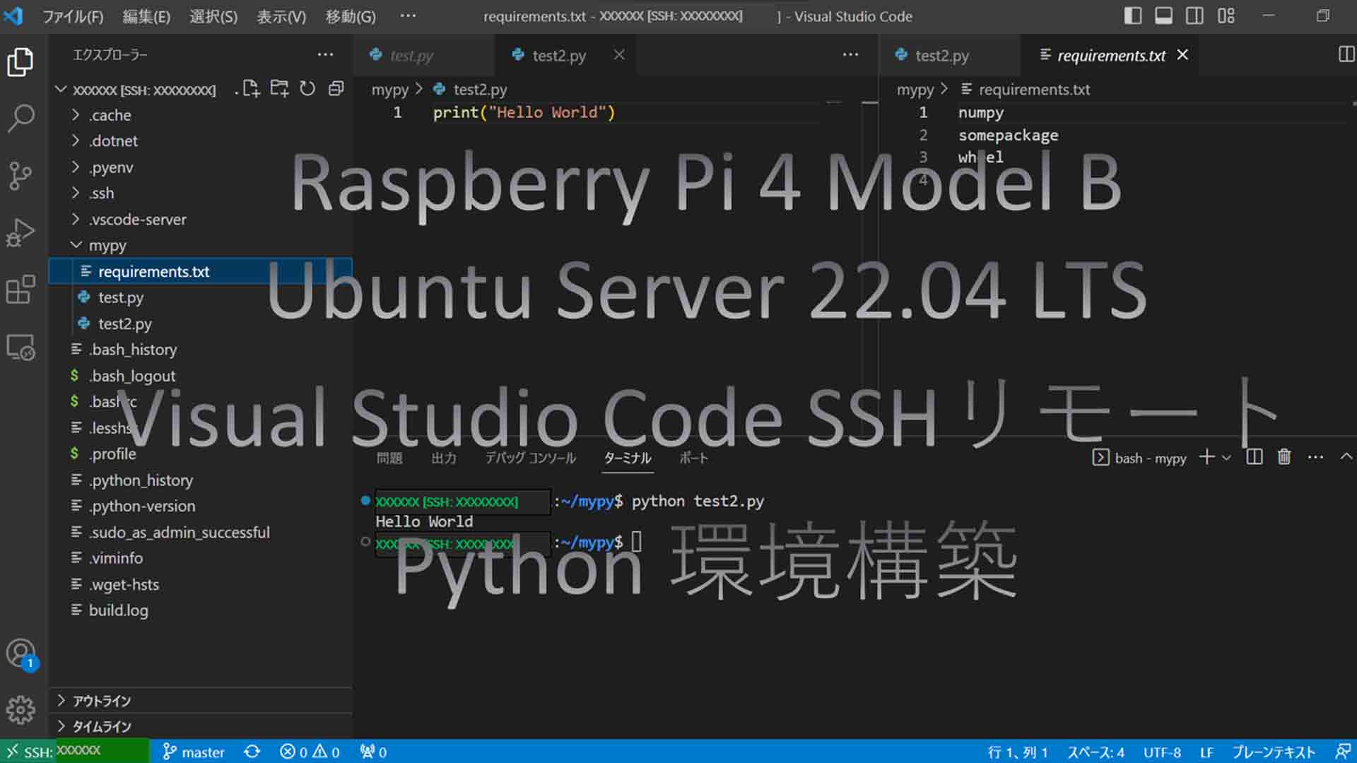 ラズパイ（Ubuntu Server）とVSCodeでPythonプログラミング環境構築する（備忘録）