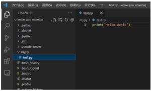 test.pyファイルに簡単なPythonコードを入力