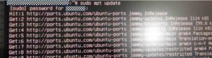 sudo apt updateコマンド、パスワード入力した後の様子