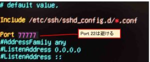 /etc/ssh/sshd_config ファイルをviエディタでポート番号を書き換え