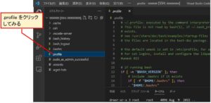 「.profile」ファイルの編集画面を開いた様子